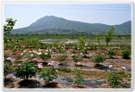 cc4654913e681e03c0c6e9755fd1aa2b_1457784