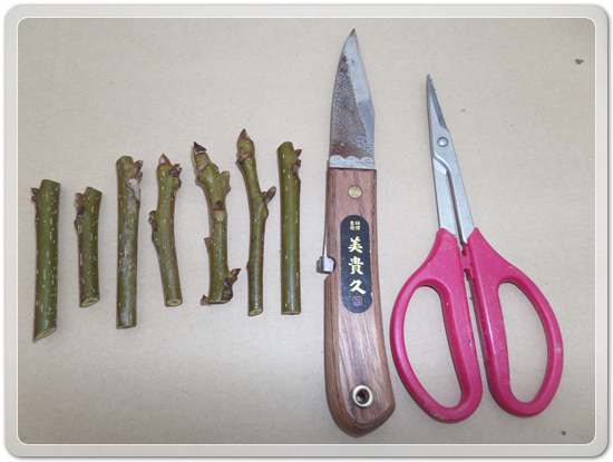 e9d3b46d83b5588a284411f8501ee236_1457240