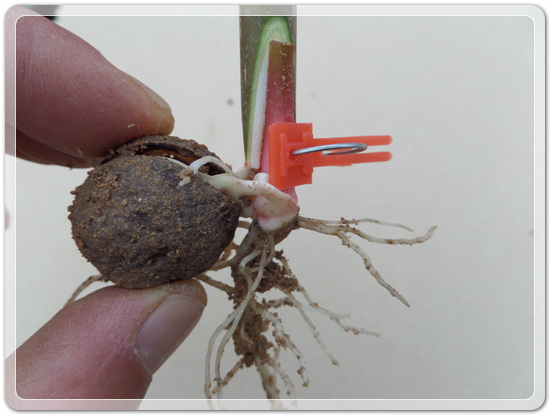 e9d3b46d83b5588a284411f8501ee236_1457240