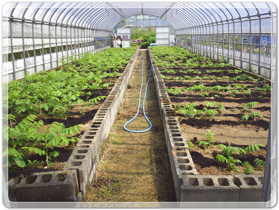 e9d3b46d83b5588a284411f8501ee236_1457240