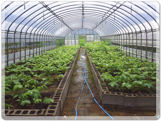 e9d3b46d83b5588a284411f8501ee236_1457240