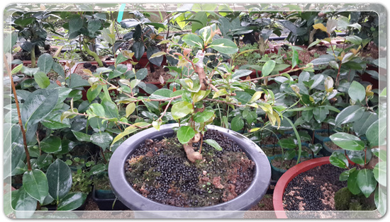 e9d3b46d83b5588a284411f8501ee236_1457241