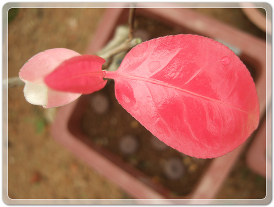 e9d3b46d83b5588a284411f8501ee236_1457241