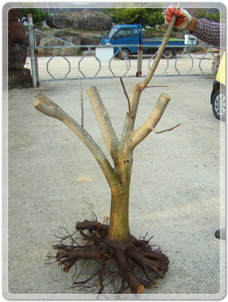 f03759707f6b5125b2d84b1216283ca4_1458653