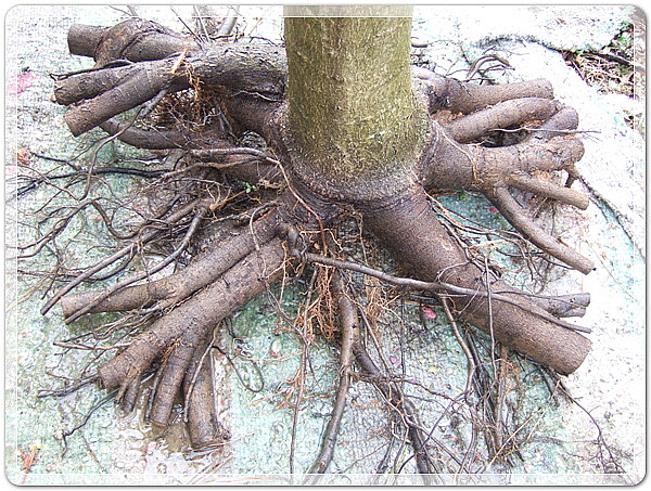 f03759707f6b5125b2d84b1216283ca4_1458653