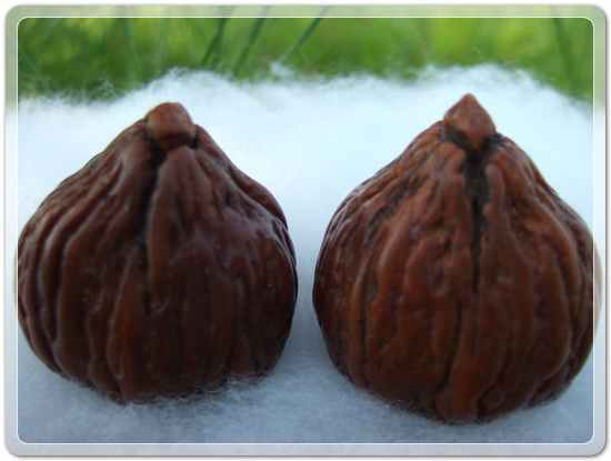 fe94139a7dc994169ba80aff01e35015_1459333