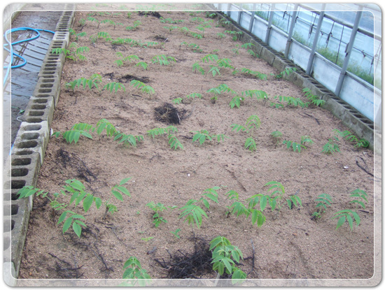 20c42601a823e51e1955a0c702619fec_1461579