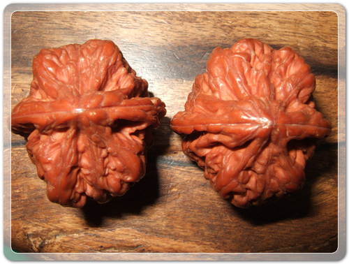 4096bcf1005548074381d422b0fb1d2e_1459865