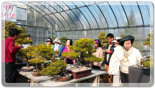 4096bcf1005548074381d422b0fb1d2e_1459865