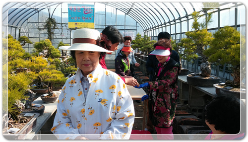 4096bcf1005548074381d422b0fb1d2e_1459865