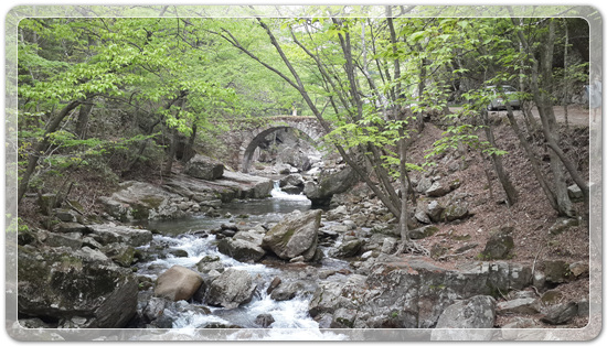 4161ea9e2a565bc073e0d801b06c75f2_1461415