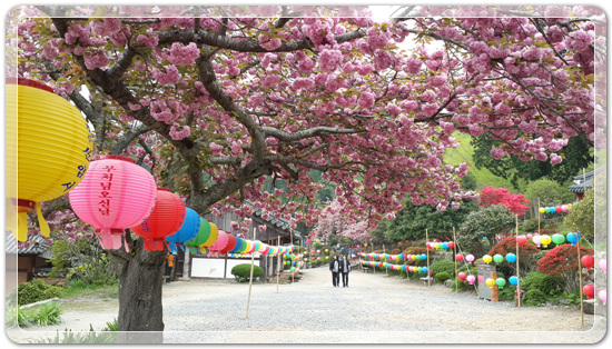 4161ea9e2a565bc073e0d801b06c75f2_1461415