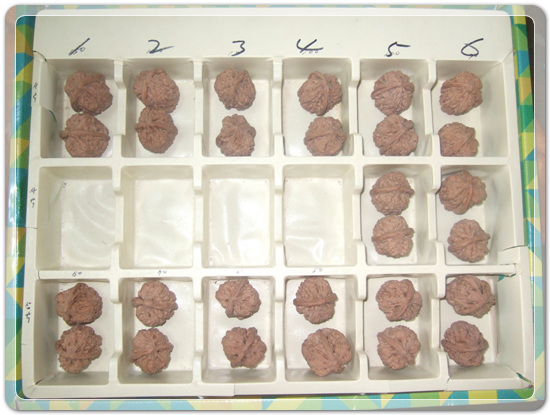 596d6d5e67bc0c3946bfca15d8204664_1461753