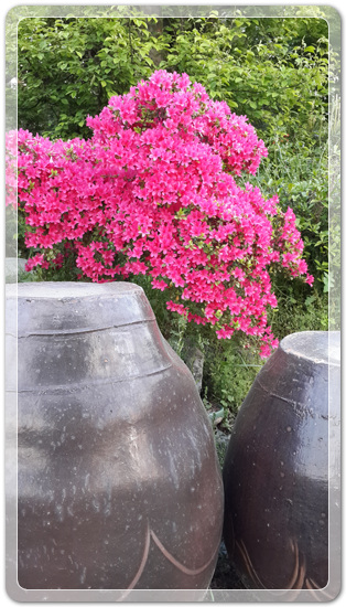 63b383481f309c589da5176c268a8eaa_1462013