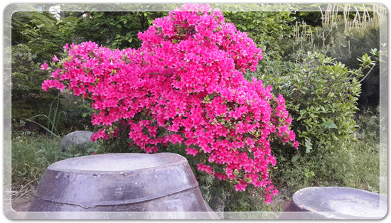 63b383481f309c589da5176c268a8eaa_1462013