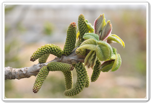 687207951d4c23ccea6d4eb3f8beee95_1460291