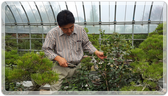 6d06fd0579f0f80200efda82e8b3d79a_1461845