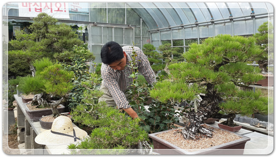 6d06fd0579f0f80200efda82e8b3d79a_1461845