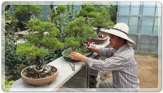 6d06fd0579f0f80200efda82e8b3d79a_1461845