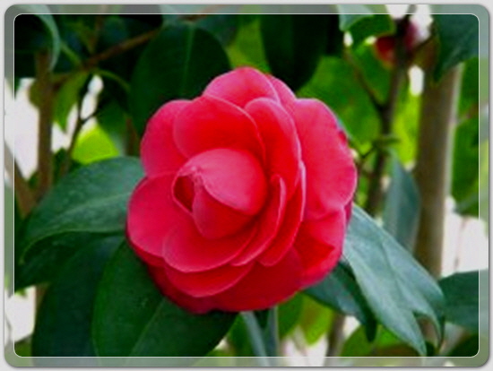 7289e312782dc6497ec750c6a99e95b6_1459594