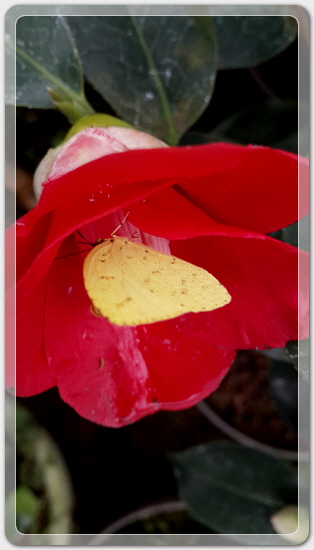 7289e312782dc6497ec750c6a99e95b6_1459595