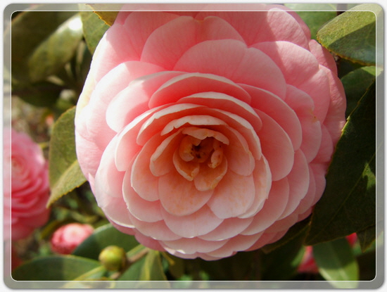 7289e312782dc6497ec750c6a99e95b6_1459595