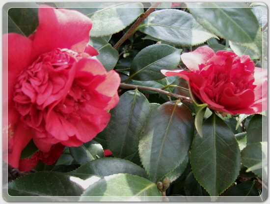 7289e312782dc6497ec750c6a99e95b6_1459595