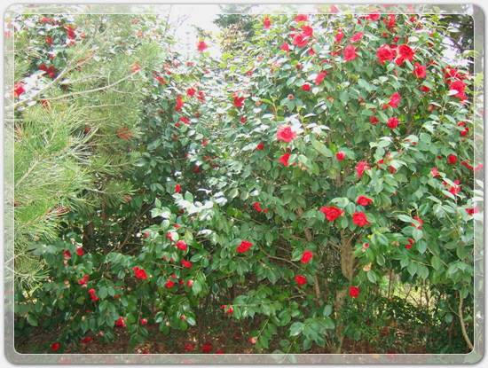 7289e312782dc6497ec750c6a99e95b6_1459595