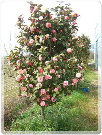 7289e312782dc6497ec750c6a99e95b6_1459595