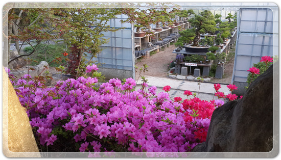 7442c68e2dc973e552271a28f4f6d087_1460718