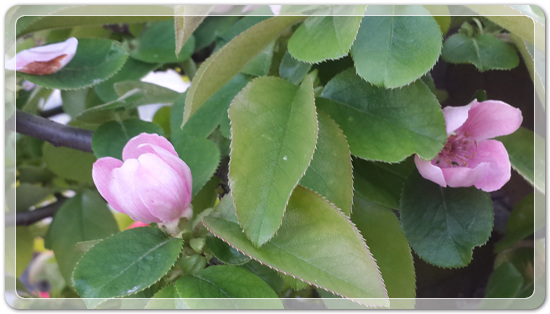 7442c68e2dc973e552271a28f4f6d087_1460718