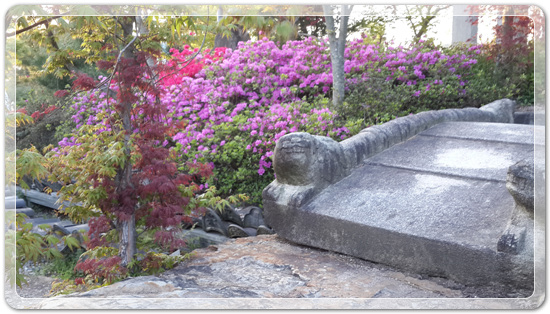 7442c68e2dc973e552271a28f4f6d087_1460718