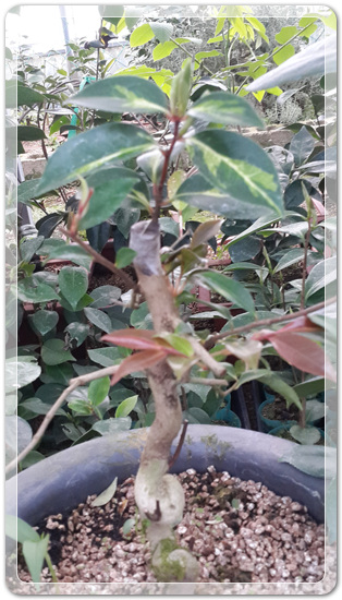 7442c68e2dc973e552271a28f4f6d087_1460718