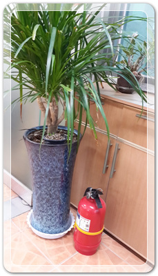 78066b4dd4386f301143d78f226f24ef_1459938