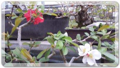 78066b4dd4386f301143d78f226f24ef_1459939