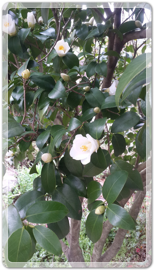 8af67cb461d5a6dcaff85b103af1e5f0_1460035