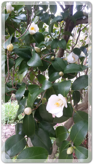 8af67cb461d5a6dcaff85b103af1e5f0_1460036