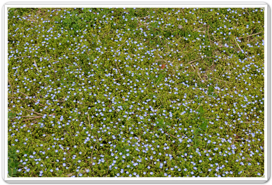 9d7a7447c0bc2bf7938daa2548927be1_1459511