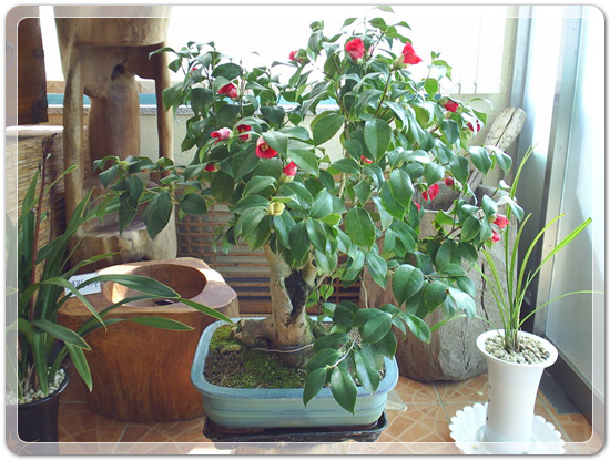 9d7a7447c0bc2bf7938daa2548927be1_1459511