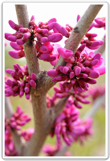 9d7a7447c0bc2bf7938daa2548927be1_1459511