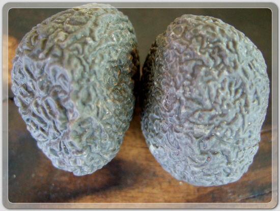 a5478a72cc722c3cc03d13bc616fbb96_1460466