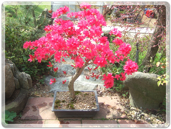 a5478a72cc722c3cc03d13bc616fbb96_1460467