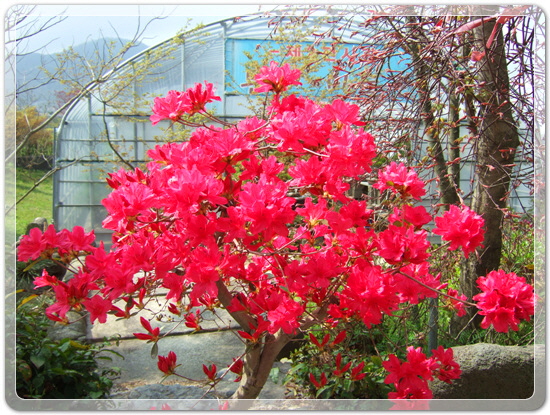 a5478a72cc722c3cc03d13bc616fbb96_1460467