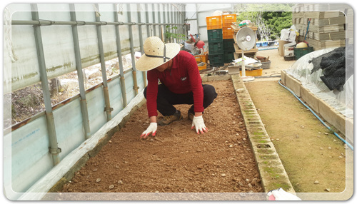 d8fee6a959ca88872bdae7de7de5ec91_1460202