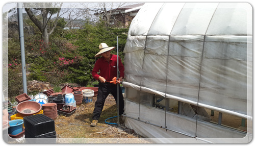 d8fee6a959ca88872bdae7de7de5ec91_1460202