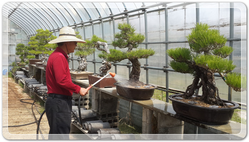 d8fee6a959ca88872bdae7de7de5ec91_1460202