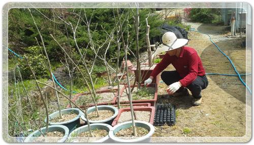 d8fee6a959ca88872bdae7de7de5ec91_1460202