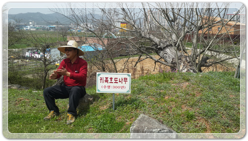 d8fee6a959ca88872bdae7de7de5ec91_1460202