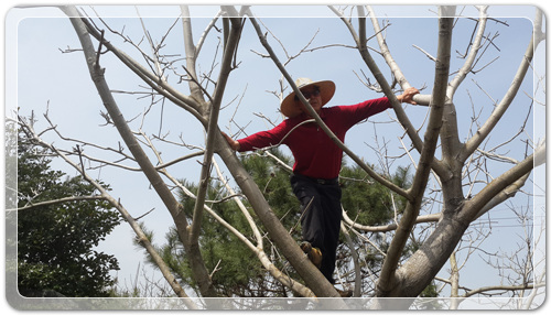 d8fee6a959ca88872bdae7de7de5ec91_1460202