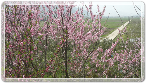 d8fee6a959ca88872bdae7de7de5ec91_1460202